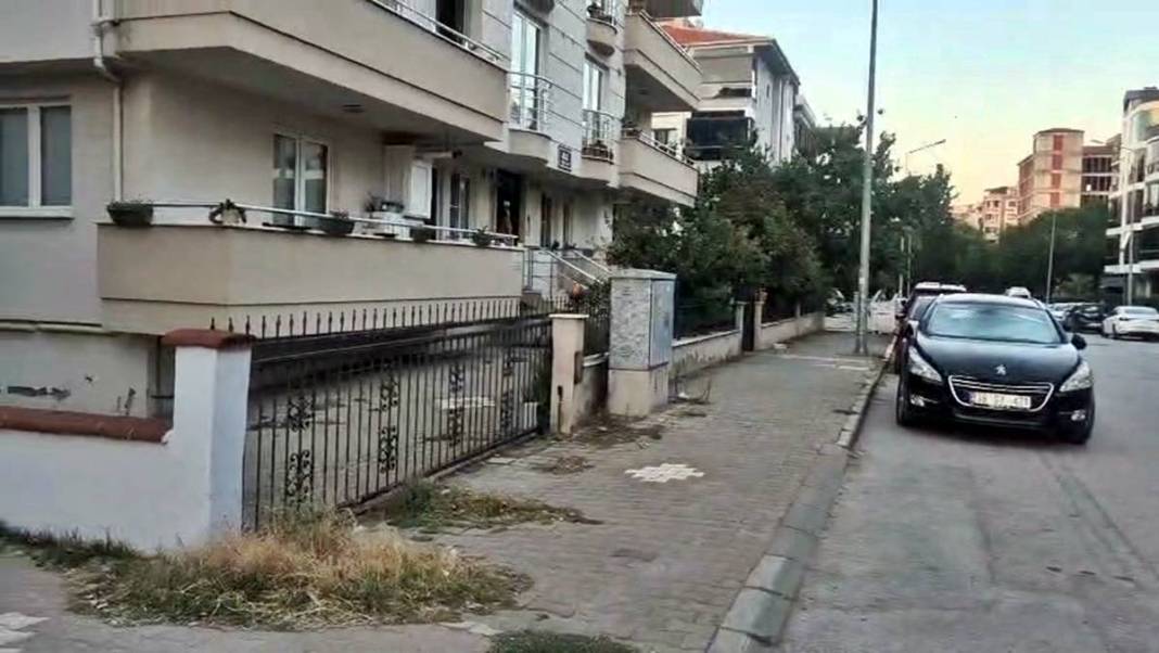 Balıkesir depremi, İstanbul depremini tetikler mi? Deprem uzmanlarından çarpıcı açıklamalar! 44